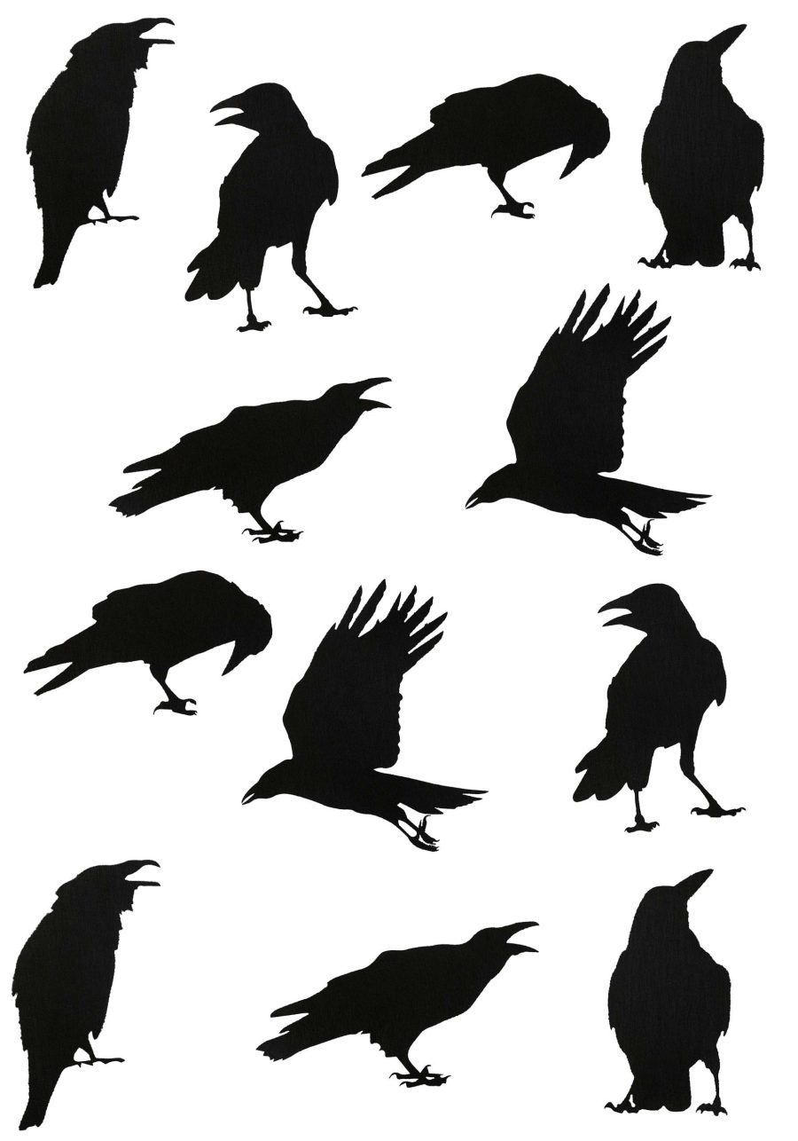 12 Piece Black Crow Stickers Decoration