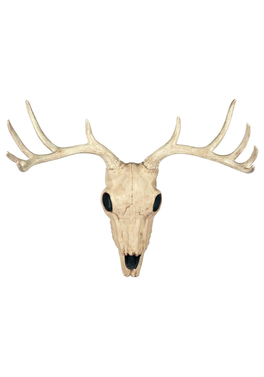 21 Buck Skull Decoration