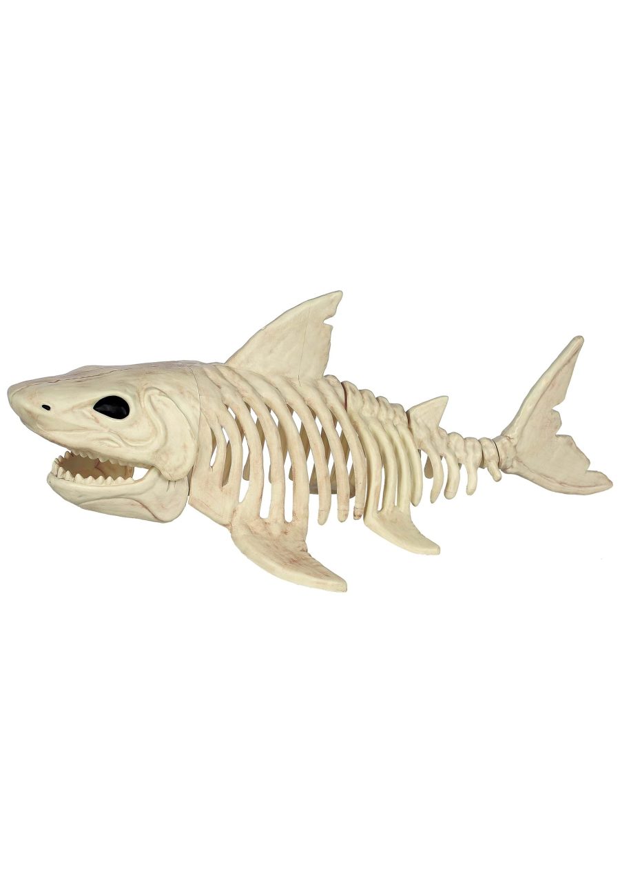 2FT Shark Skeleton Decoration