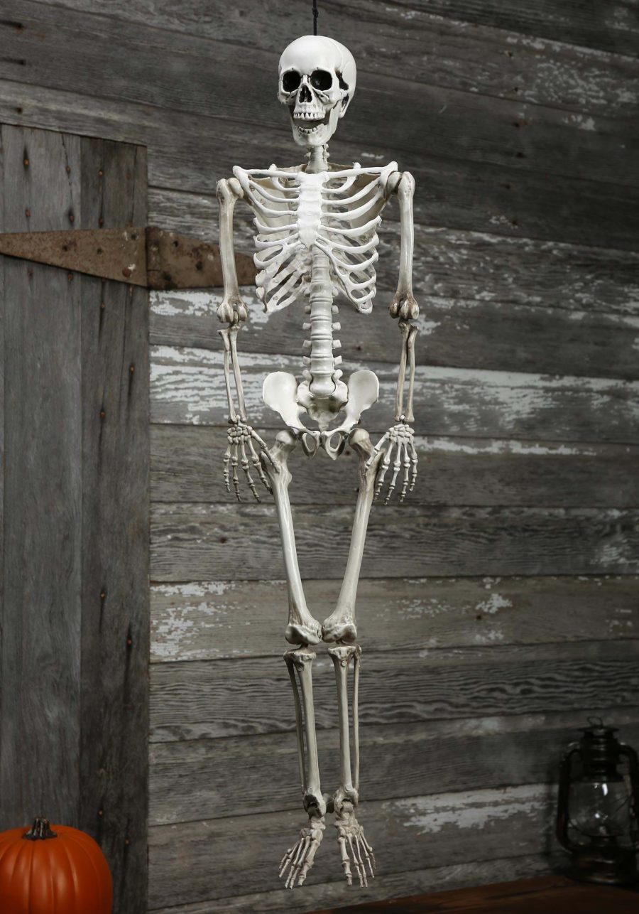 36-Inch Plastic Realistic Skeleton Decoration