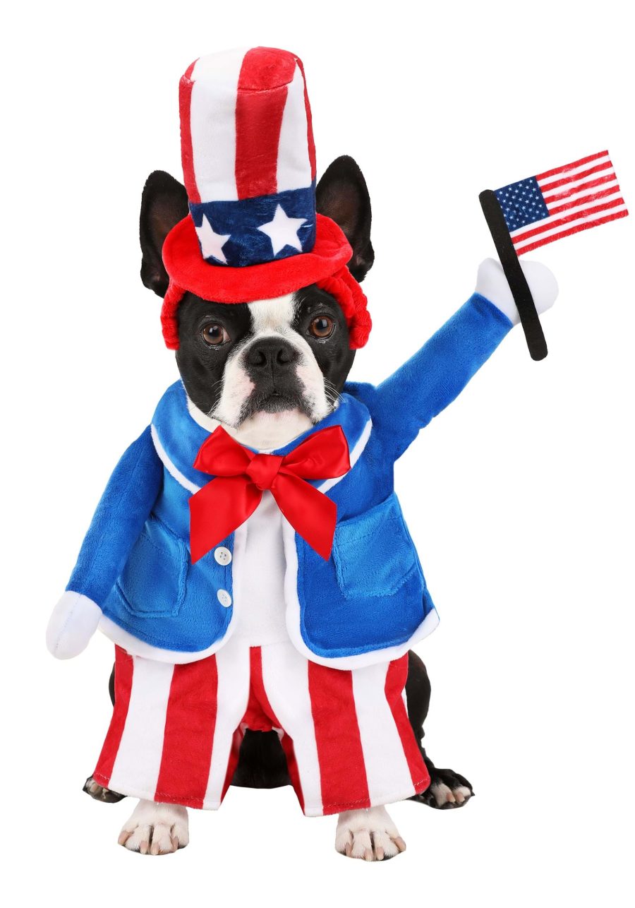 4th of July Uncle Sam Pet Costume