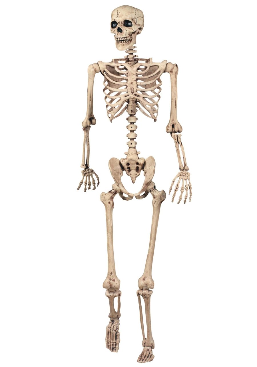 5FT Realistic Poseable Skeleton Prop