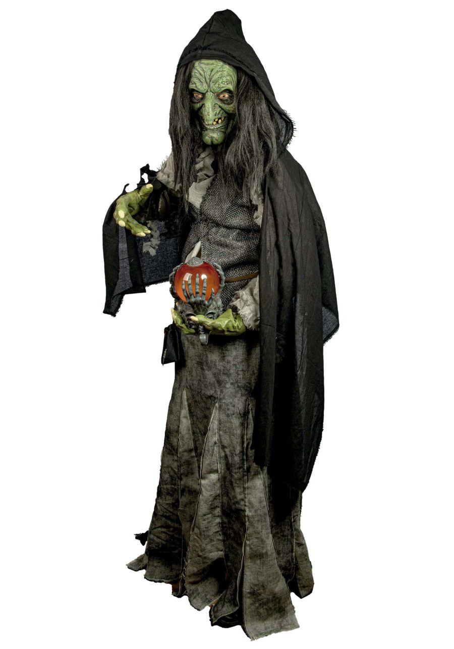 Adult Premium Witch Costume