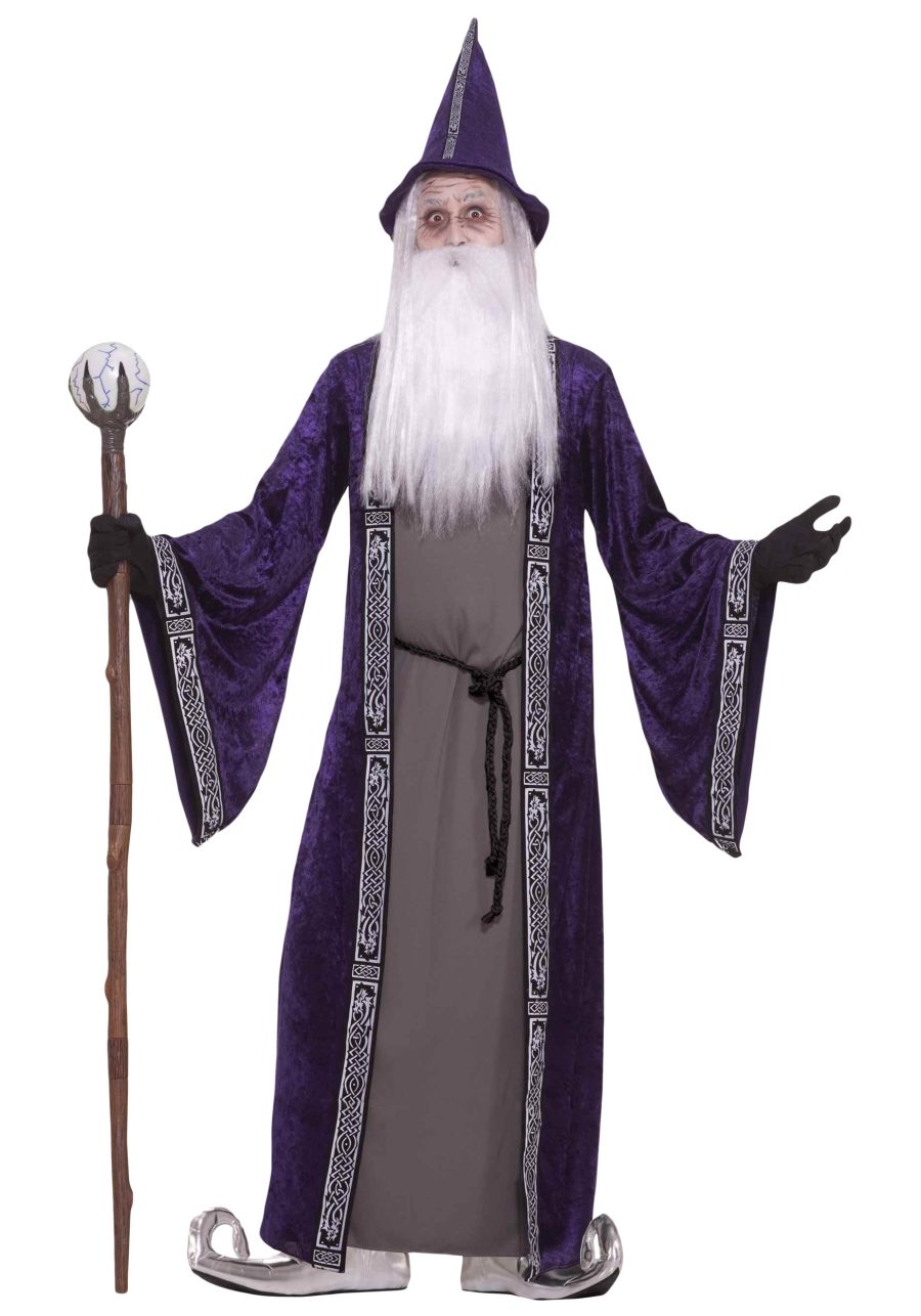 Adult Purple Wizard Costume