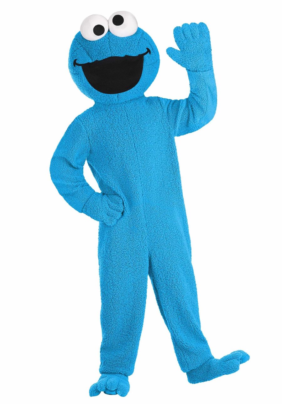 Adult Sesame Street Cookie Monster Mascot Costume