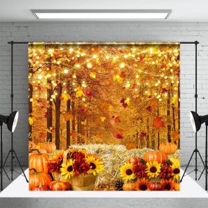 Aperturee Fall Lights Road Haystack Sunflower Autumn Backdrop - Aperturee