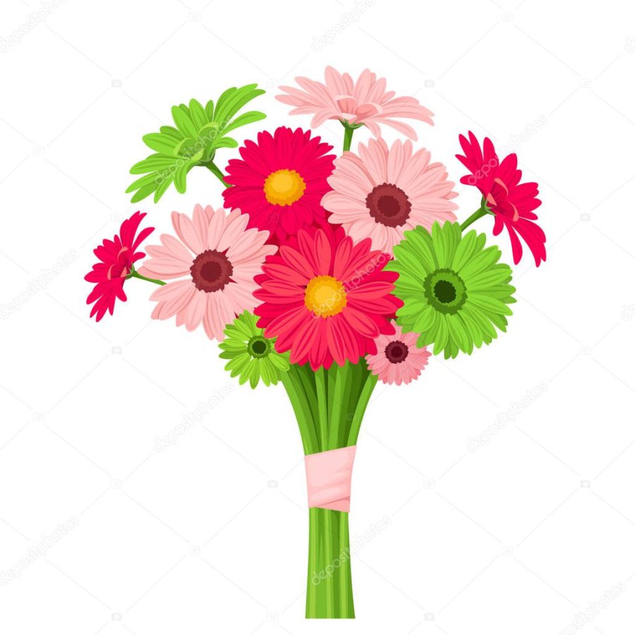 Bouquet of pink and green gerbera flowers. Vector illustration.