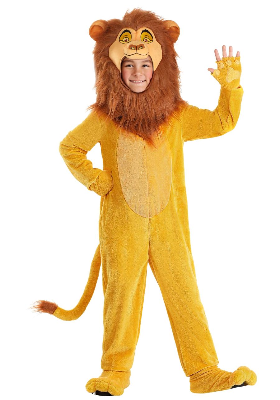 Boy's Disney The Lion King Mufasa Costume