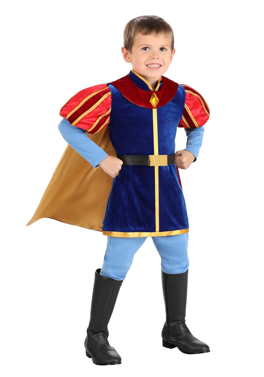 Boy's Toddler Disney Sleeping Beauty Prince Phillip Costume