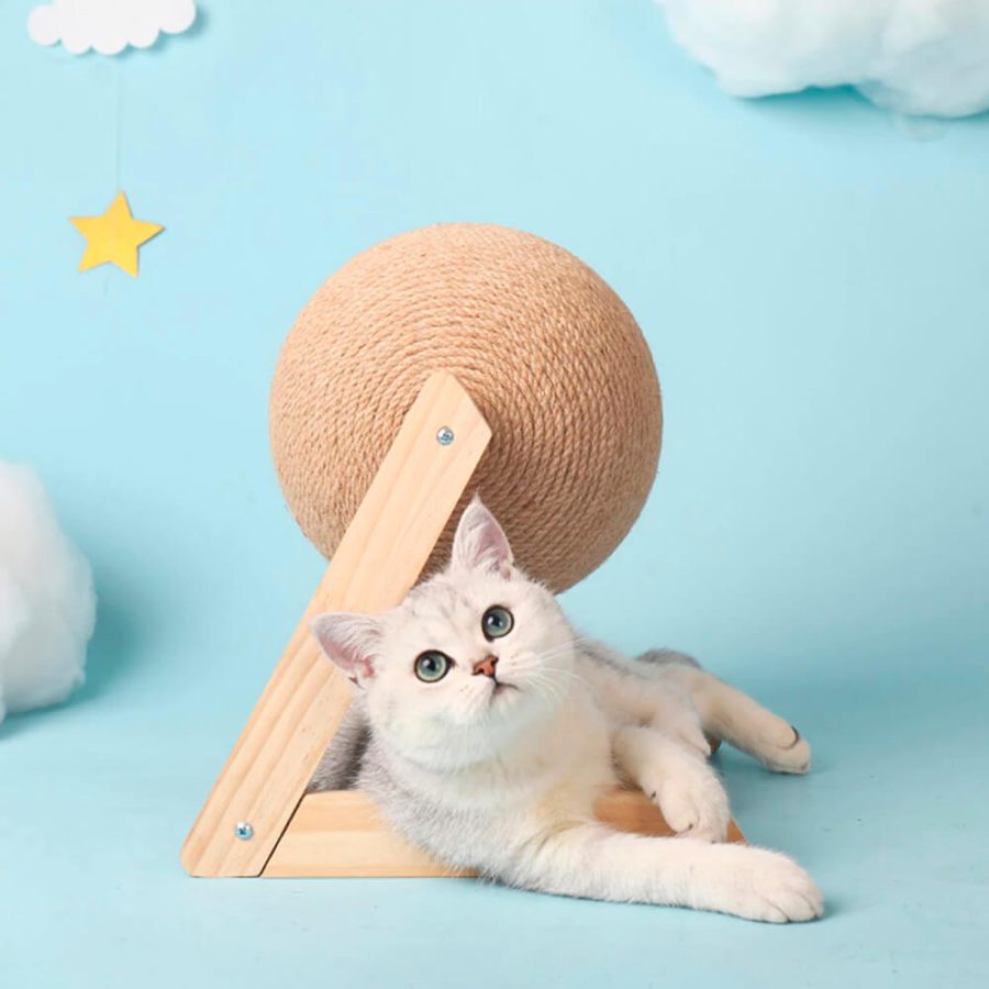 Cat Scratching Ball Toy