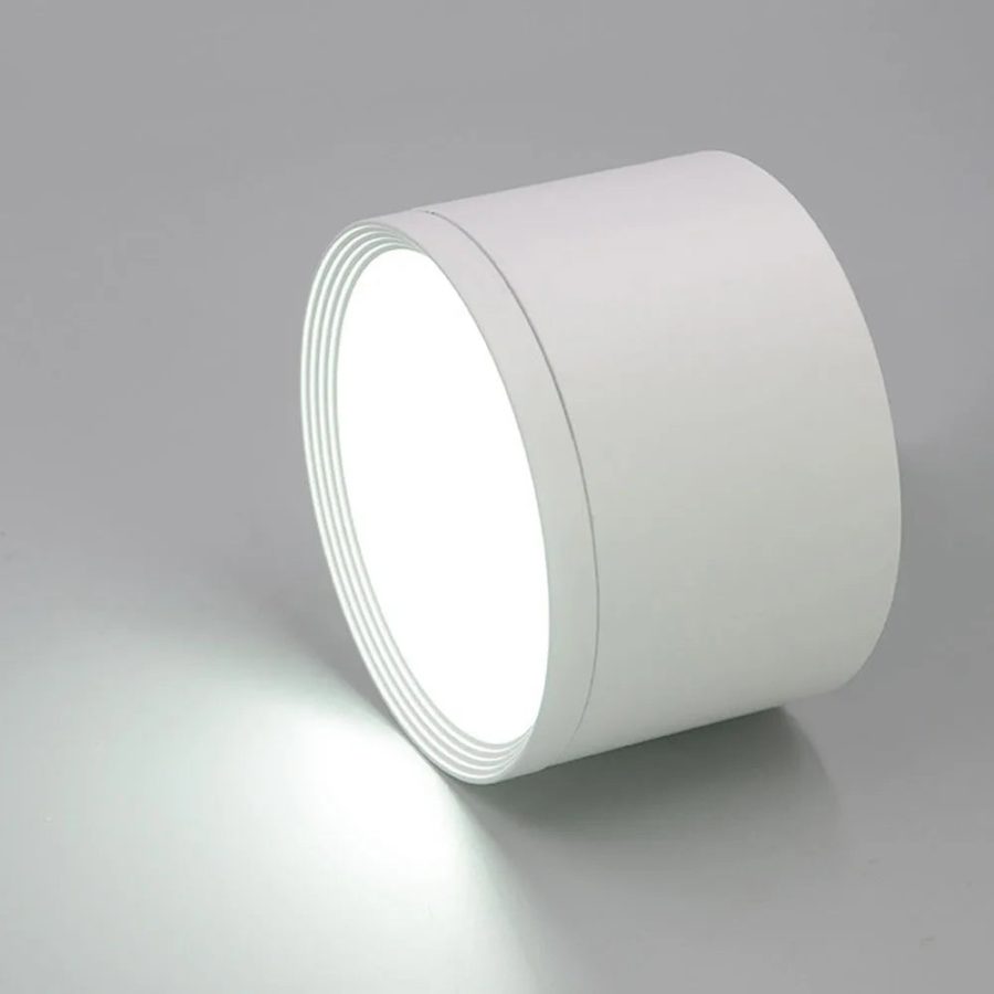 Dimmable Waterproof Indoor & Outdoor Ceiling LED Light IP65/IP66/IP67 75mm/100mm 220V