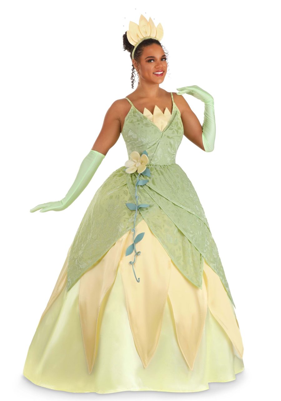 Disney Women's Princess and the Frog Deluxe Tiana Costume