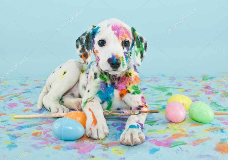 Easter Dalmatain Puppy