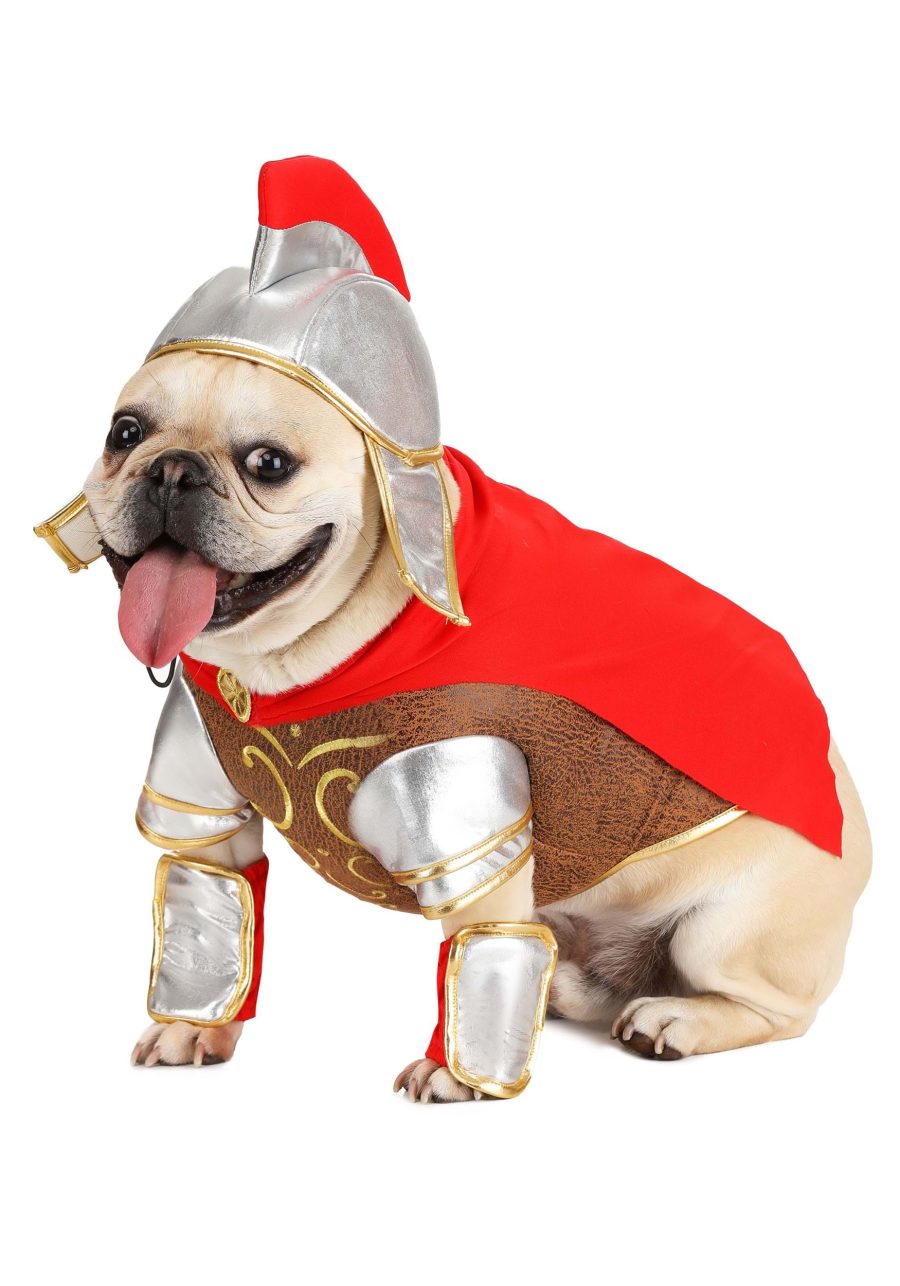 Gladiator Costume for Pets