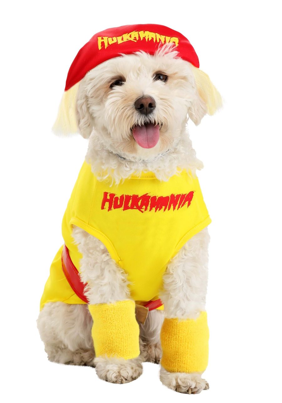 Hulk Hogan Dog Costume