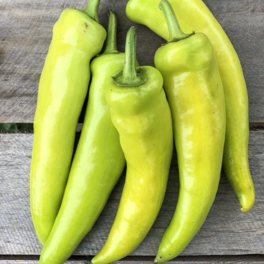 Hungarian Hot Wax Pepper Seeds 15000 Scoville Guero Yellow Chile Chili Banana Be