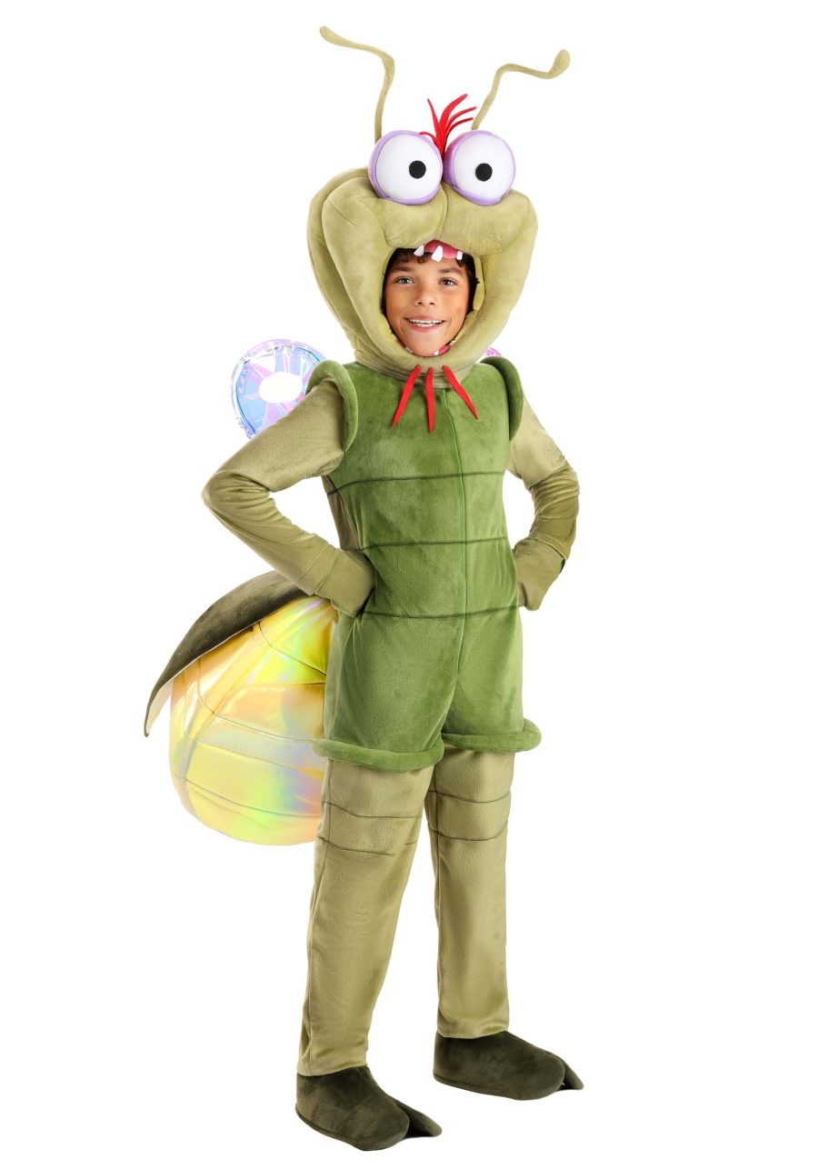 Kid's Deluxe Disney Princess and the Frog Ray Costume