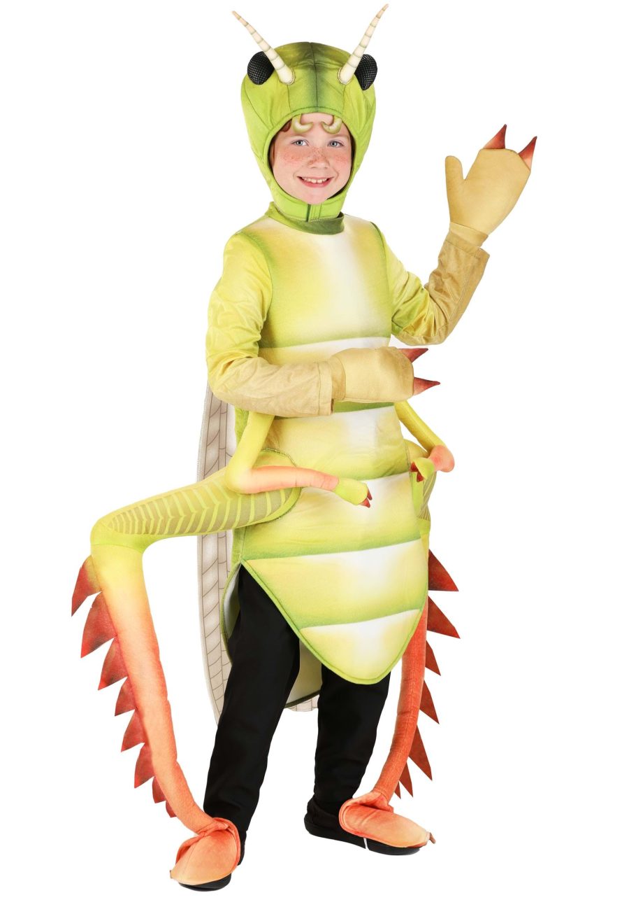 Kid's Deluxe Grasshopper Costume