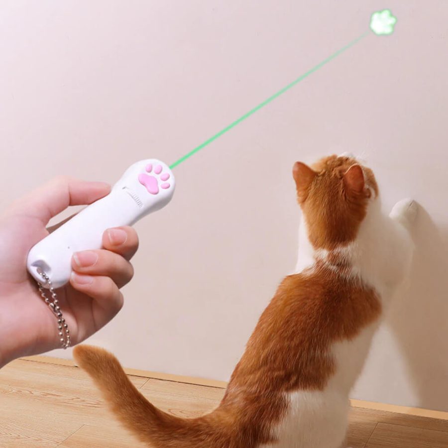 Laser Cat Teaser Interactive Toy