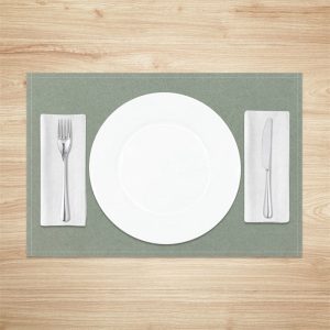 Light Green Minimalist Modern Set Of 4 Placemats - Aperturee