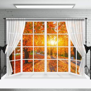 Maple Grove Sunlight Window Autumn Scenery Backdrop - Aperturee