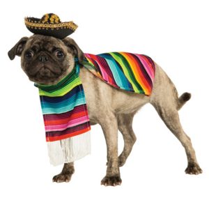 Mexican Serape Pet Costume