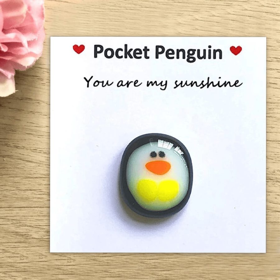 Mini Pocket Penguin Care-Bringing Hug