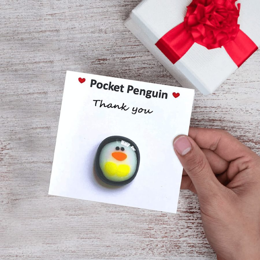 Mini Pocket Penguin Care-Bringing Hug