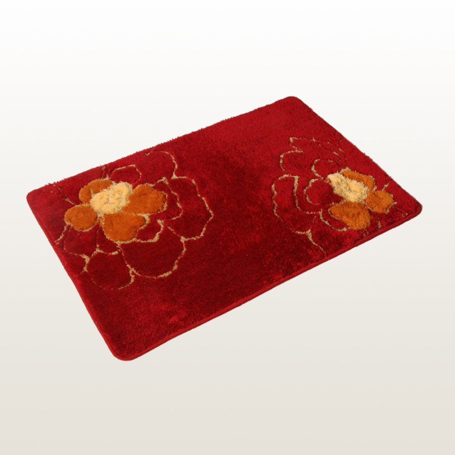 Naomi [Happy Festival]Beautiful Home Rugs 19.7 by 31.5 inches