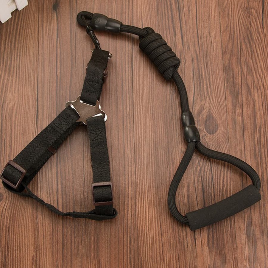 Nylon Rope Dog Leash