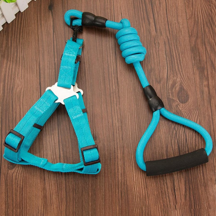 Nylon Rope Dog Leash