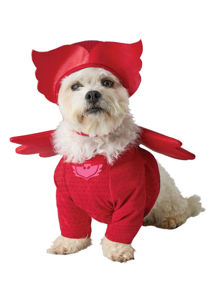 PJ Masks Owlette Pet Costume