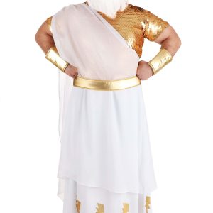 Plus Size Deluxe Zeus Costume for Men