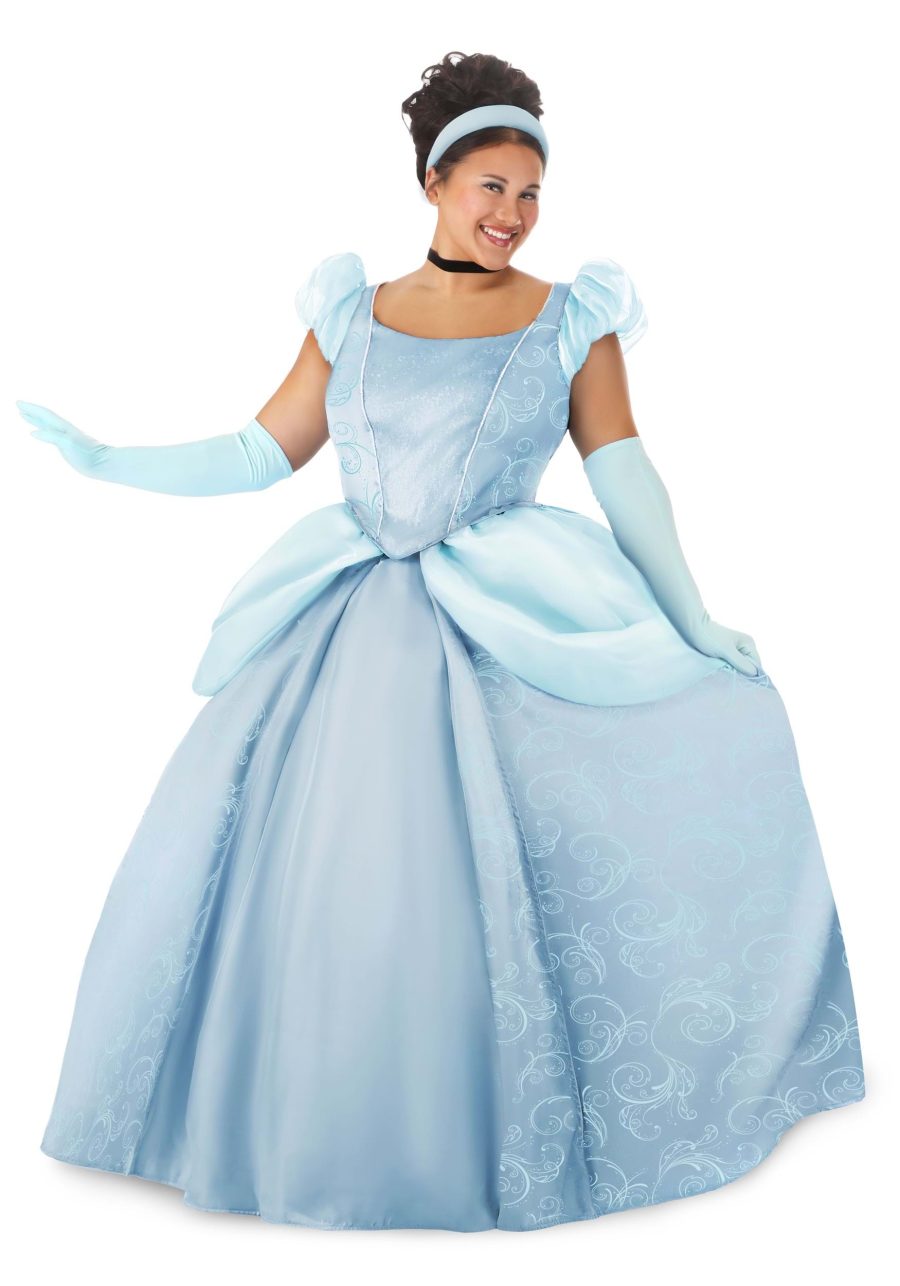 Plus Size Disney Premium Cinderella Women's Costume Dress