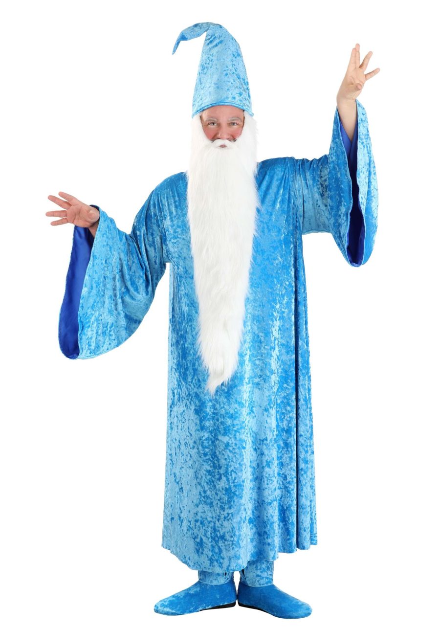 Plus Size Disney The Sword in the Stone Merlin Men's Costume