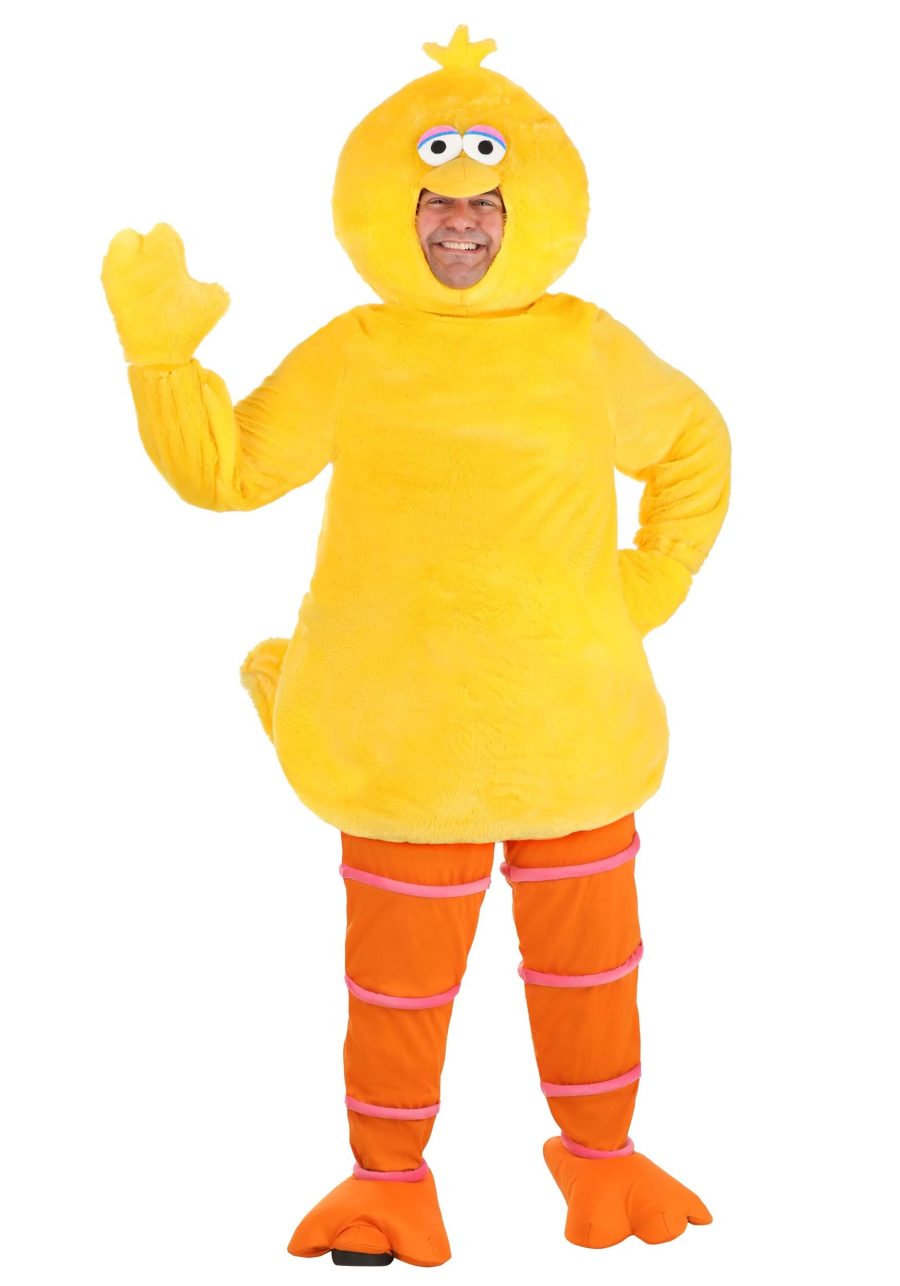 Plus Size Sesame Street Big Bird Costume for Adults