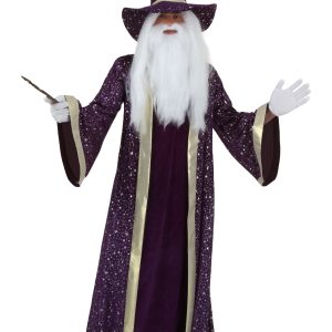 Plus Size Wizard Costume for Men