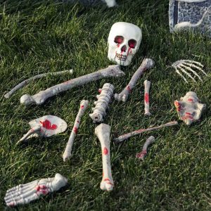 Set of 14 Bloody Skeletal Parts Decorative Kit