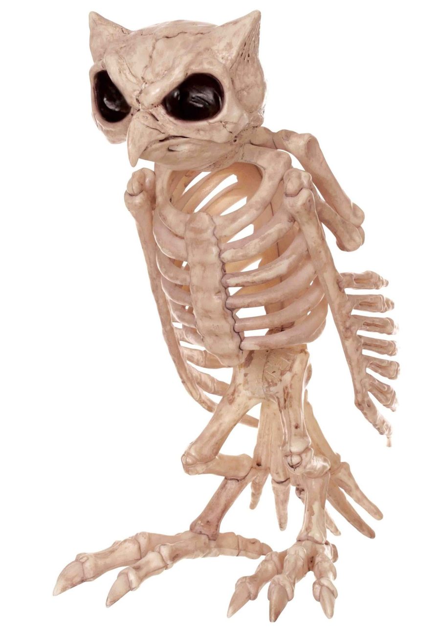 Skeleton Owl Halloween Decoration