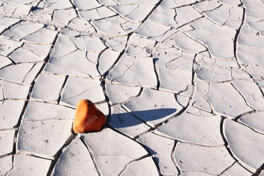 Small stone of sandstone in Death valley