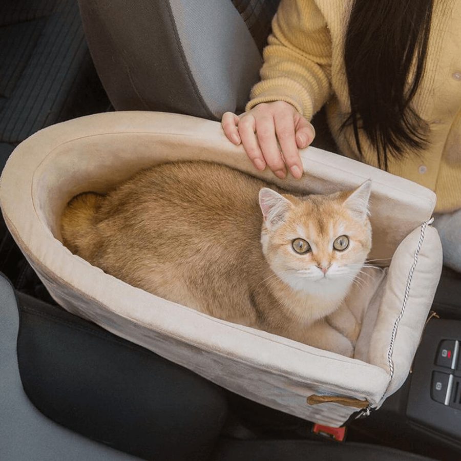 Snuggly Safe Puppy Car Seat