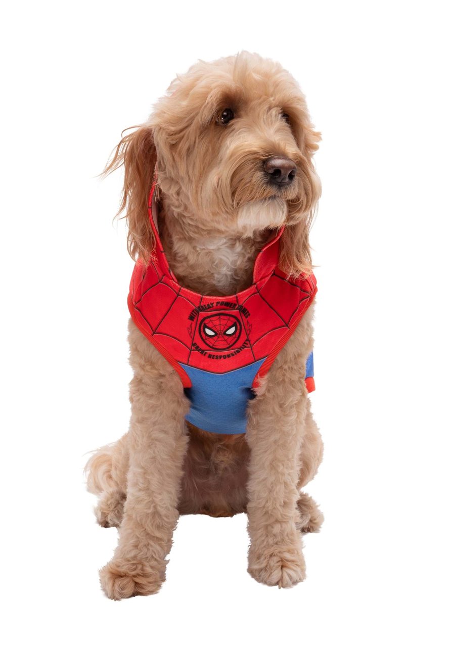 Spider-Man Pet Costume Hoodie