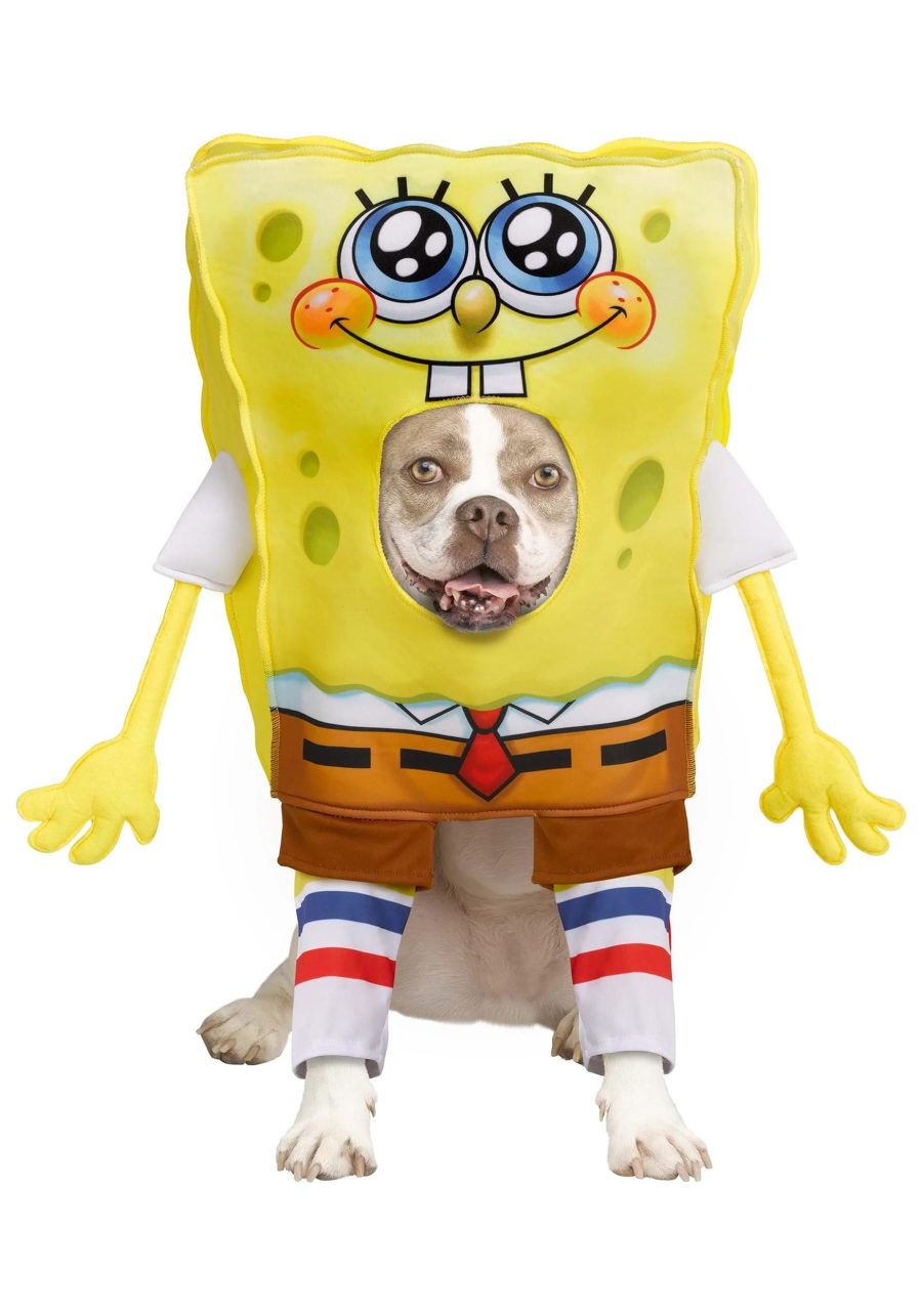 SpongeBob Pet Costume