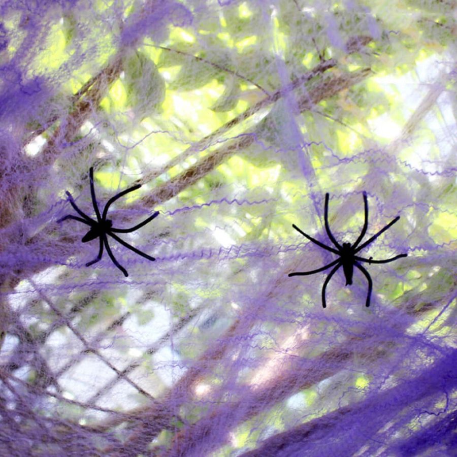 Spooky Halloween Spider Web Decor