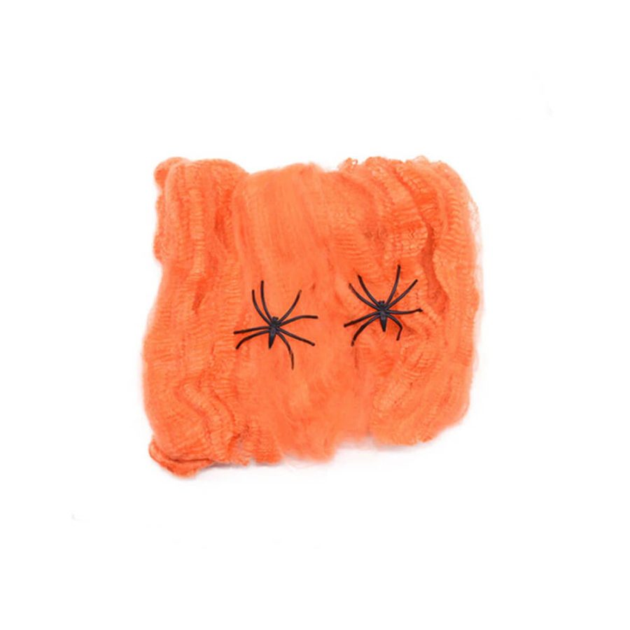 Spooky Halloween Spider Web Decor