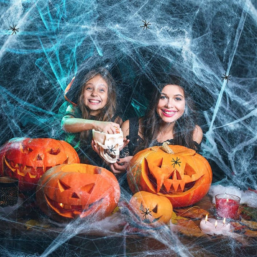 Spooky Halloween Spider Web Decor