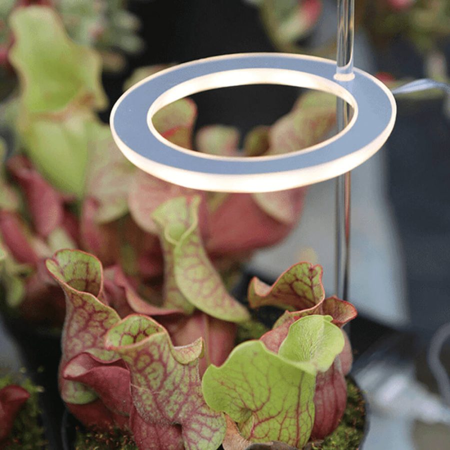 Stylish Angel Ring Grow Light