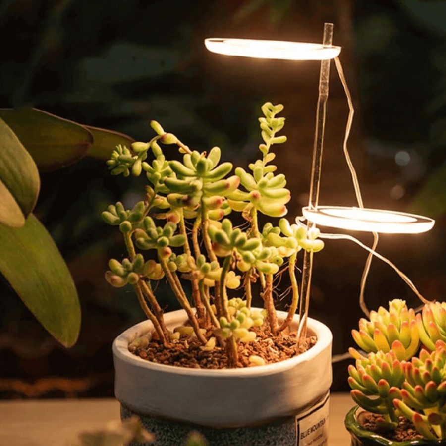 Stylish Angel Ring Grow Light