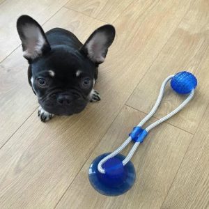 Suction Cup Dog Toy