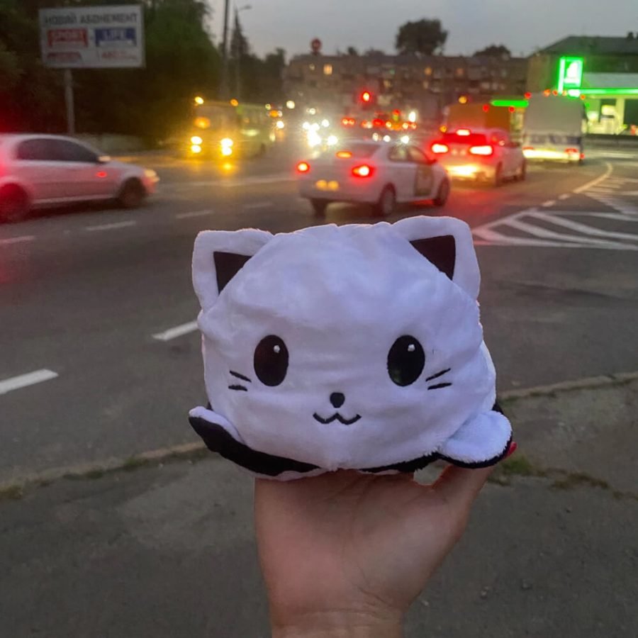 Super Cute Reversible Cartoon Cat Plushie